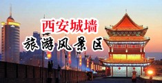 免费看干逼中国陕西-西安城墙旅游风景区