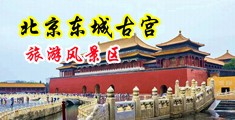鸡吧好大操的好舒服视频中国北京-东城古宫旅游风景区